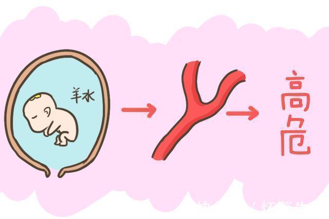 羊膜|怀孕期间最怕羊水偏多、偏少还有浑浊,羊水的这些秘密你都知道吗