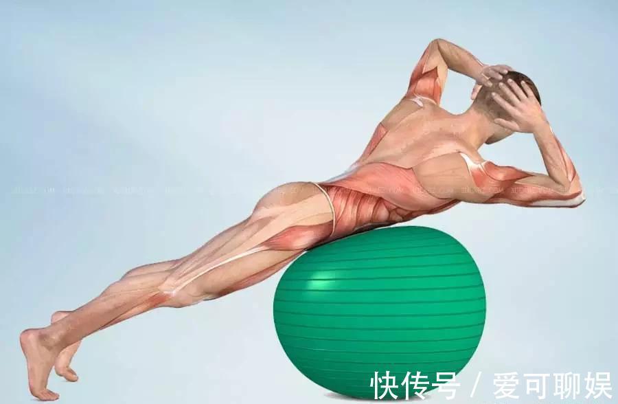 背部|练瑜伽,如何加强下背部力量?这8个动作超好用!(附解剖图)