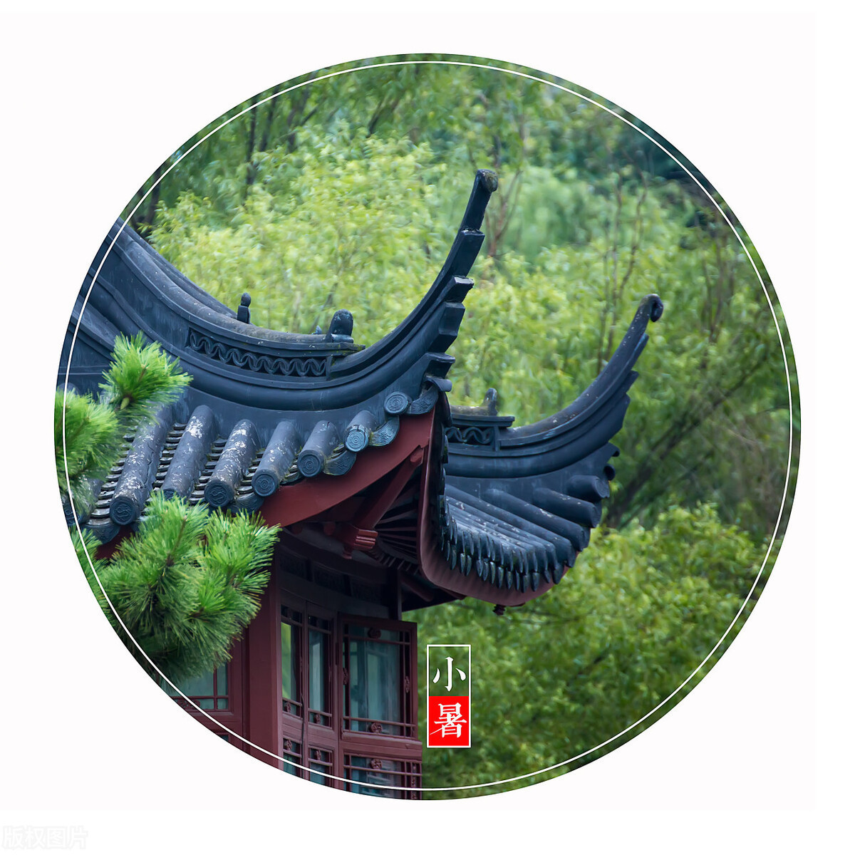 节气|明日小暑，1道美食记得吃，饮食上讲究3点，营养健康