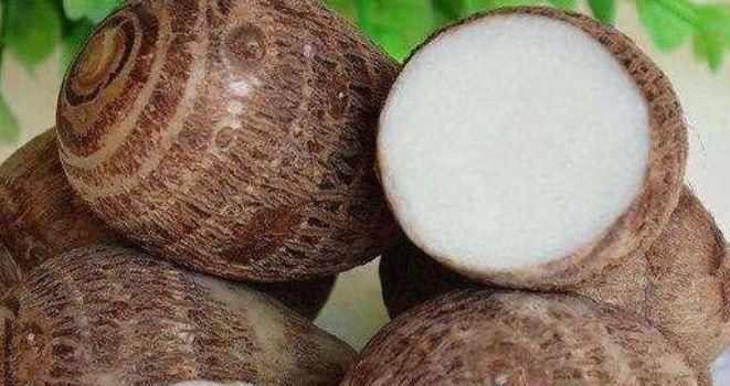 护脾王|地下人参你知道是什么吗?,真正的护脾王,养脾胃,建议老人多吃