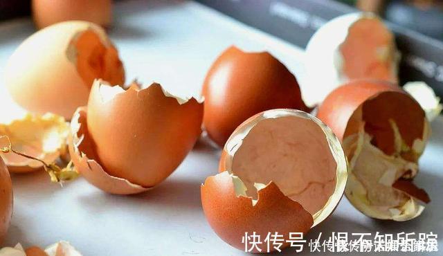 花友|茉莉、三角梅开得旺,土里两种花肥很重要,添一点就有明显效果