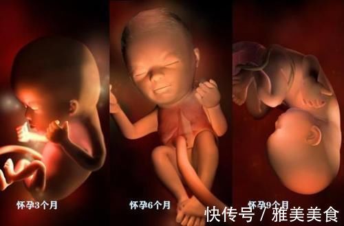 旅程|怀孕3个月、6个月和9个月区别在哪儿?看完三组图,你就明白了