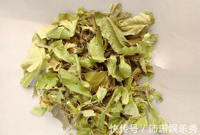 活血化瘀|常见的活血化瘀中药有很多，这5种活血祛瘀药，堪称活血“圣药”