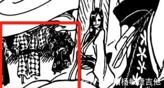 玛利亚|海贼王凌空六子的果实公布,福兹弗是猫猫果实,佐佐木是三角龙