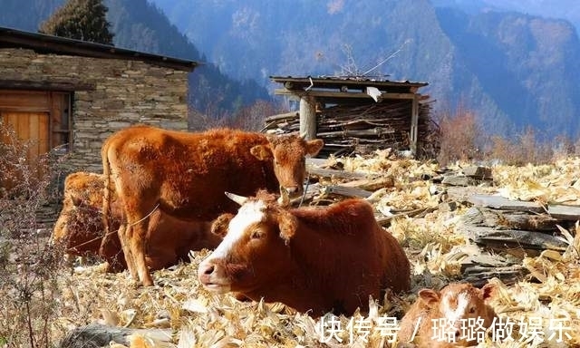 嘉绒|「丫巴寨」大山深处的嘉绒藏寨