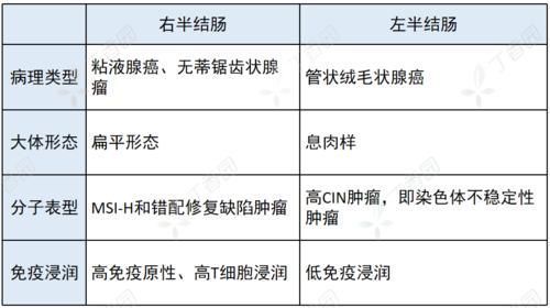 右半结肠癌|左半结肠癌 vs.右半结肠癌，这 4 大差异，你能答全吗？