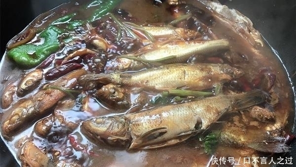 翘嘴连竿|夏天水库手竿钓翘嘴,注意这些要点,翘嘴连竿上,狂拉到手酸