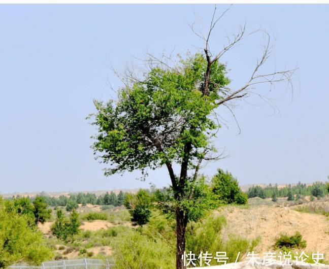 万城|千古之谜,匈奴人的皇城统万城