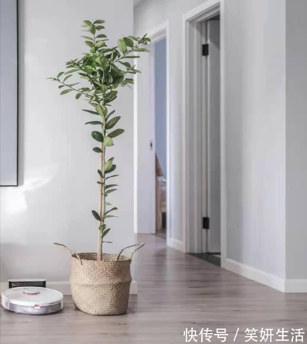 地气|第二次装修，坚持5条最接地气的家居决定，让硬装施工不被坑！