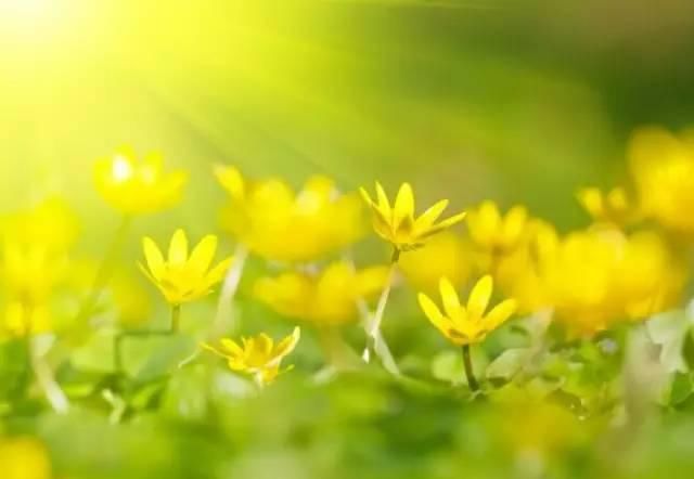  安排|如果事与愿违，请相信一定另有安排