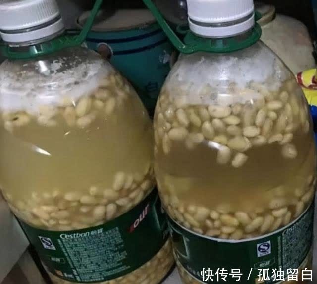 进入五月,蟹爪兰要赶紧做这三点,今年才能开爆盆