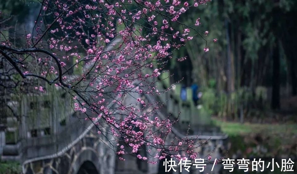 忆仙姿@五言绝句◆梅花三弄