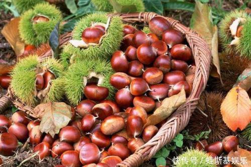 食材|吃什么食物对老年人好?这4种常见食材必须多吃,健脑益脾防痴呆