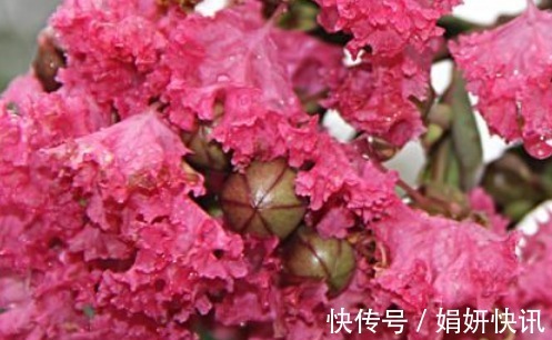 福气@俗话说好事做尽，福气到头，别做4件事好事，不然财福会被抢走