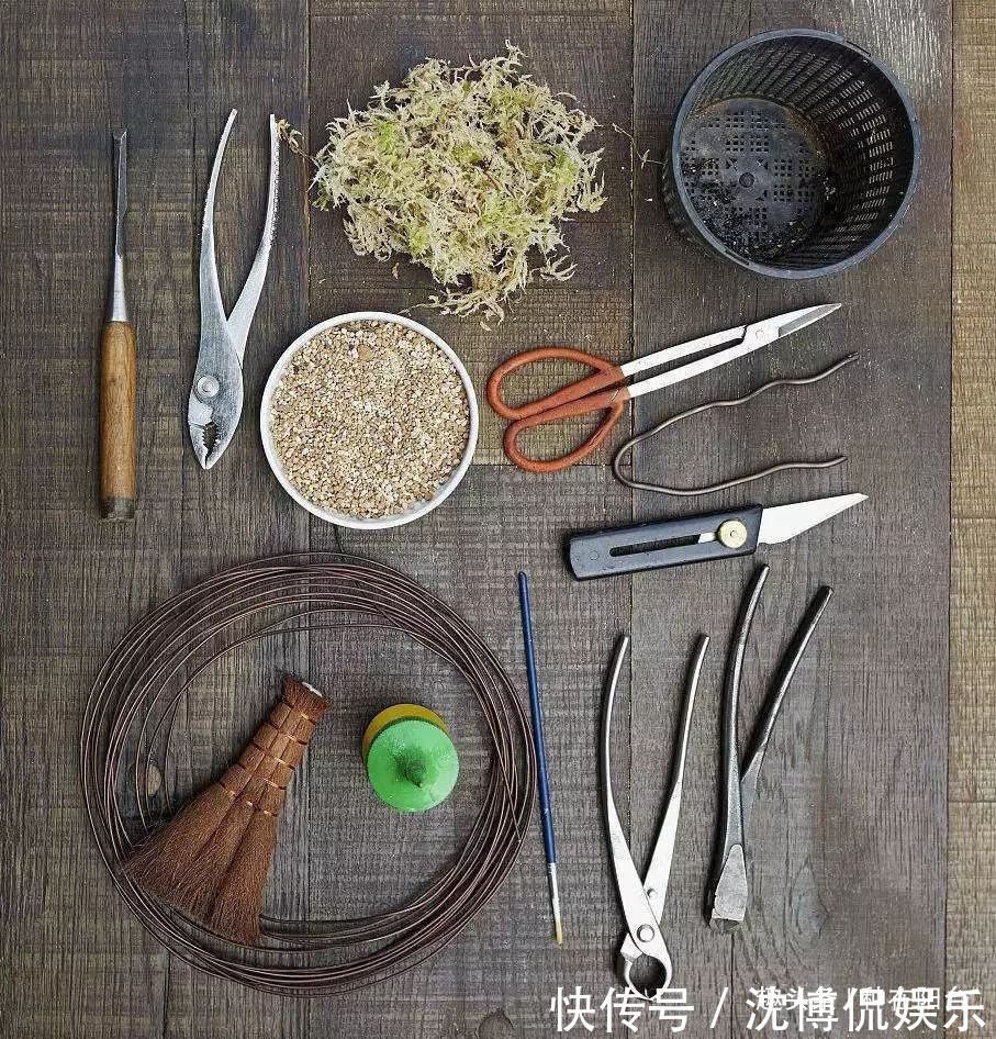 台友们|老实交代，你们觉得盆景制作步骤太难记吧那就念这十字箴言咯！