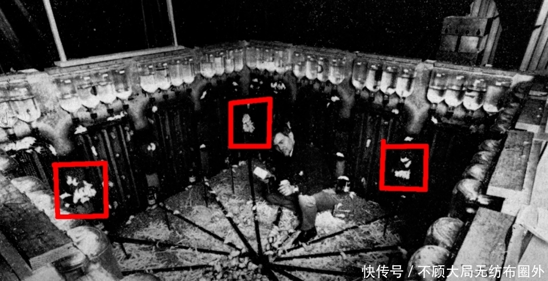 细思|一个细思极恐的心理学实验：为何与家人住在一起，会让人抓狂？