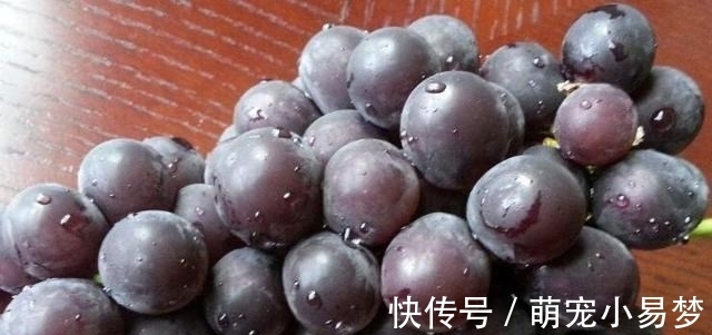 夏天|夏天，遇到此果我必买10斤，补钙又补铁，锅中一煮爽滑又筋道