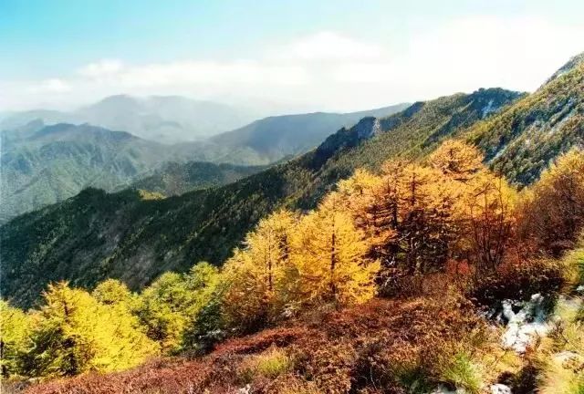 木王山景区|免票！陕西多景区推出教师节优惠政策