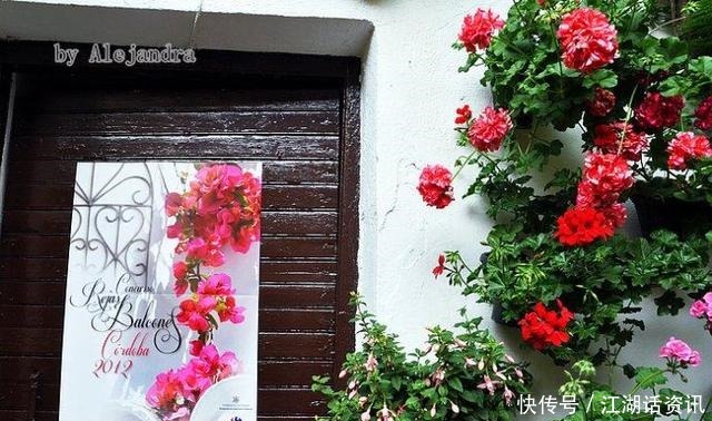 不一样的“庭院花园”，花草都上了墙