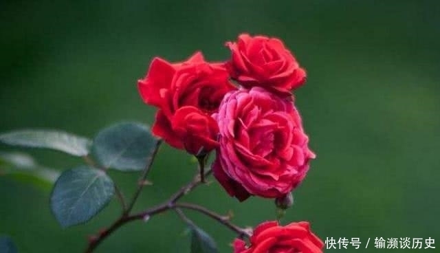 曾国藩眼中的3条“美德”,也是3条积福之道,你知道吗?