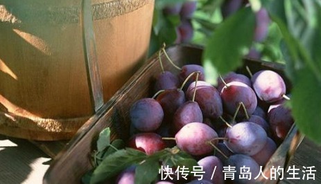 养肝|“肝”不好,不要慌!常吃1种“水果”,能养肝,促进排肝毒