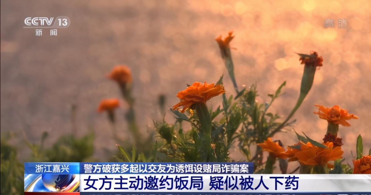 喝完|迷幻酒局|喝完酒打个牌,输了114万?事后才知自己被下药了