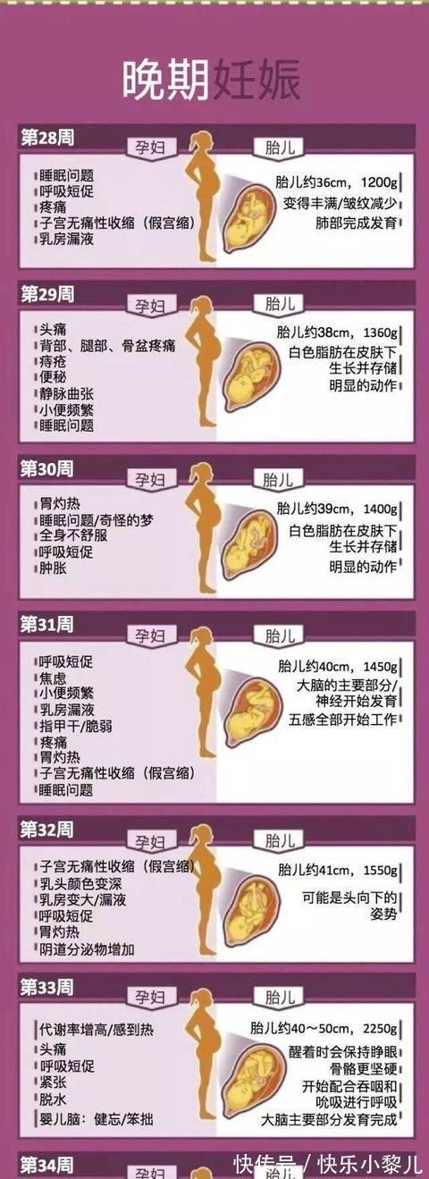 小陈|怀孕40周,孕妈身体会发生哪些变化?小宝宝每天都在悄悄长大