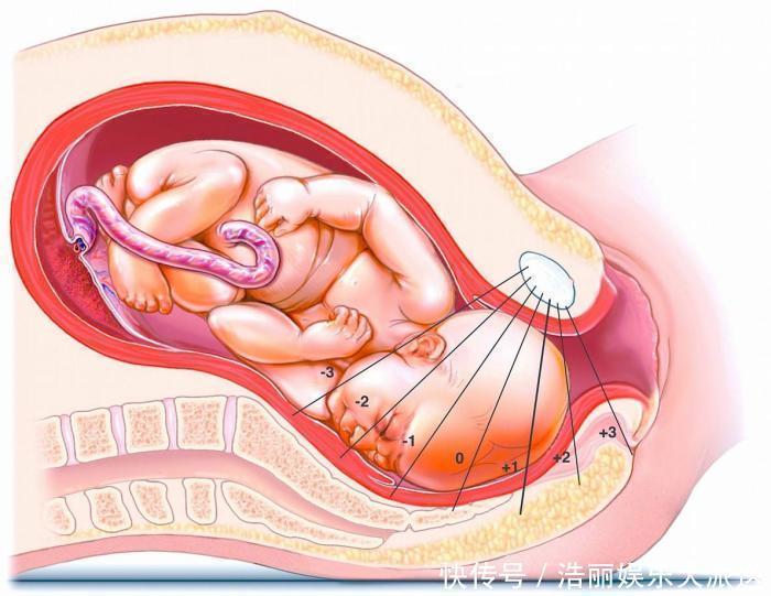 分娩|女性顺产时,除了痛还有什么感觉说出来居然很滑稽