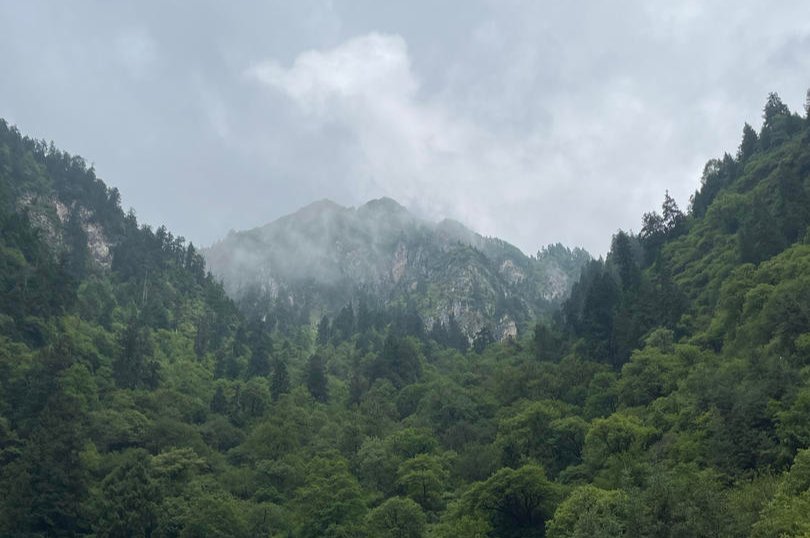 天府|四川理县县委书记金天强：加快旅游产业提档升级，“名县”效应和红利充分释放