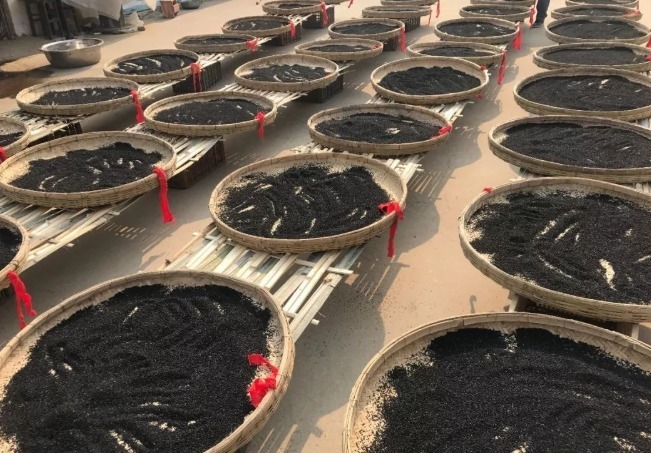 红枣|建议中老年入秋少吃肉,若不差钱多吃这5种食物,营养高好吸收