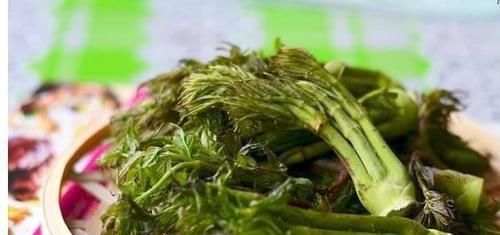 女性不错过的几种食物，可以常吃，养血止血、敛阴润燥，更显年轻