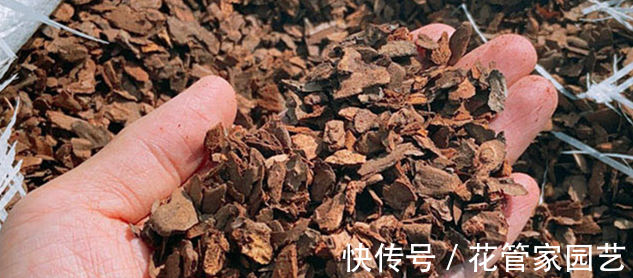 腐叶土|这几种路边别人不要的垃圾捡回家种花,比花钱买的营养土还好