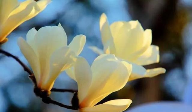 我国河南某地,重大“考古发现”,历史景区将拔地而起!