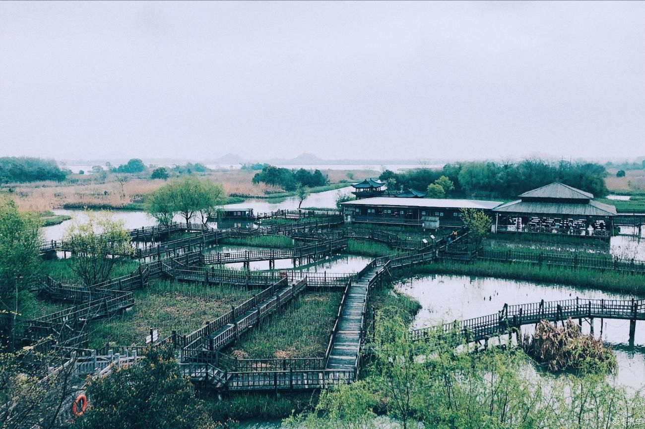 浙江德清下渚湖国家湿地公园环境很美，花美，人美，都很美