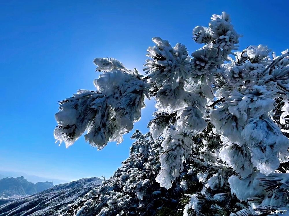 西藏|冬天的雪是上帝写给人间的诗