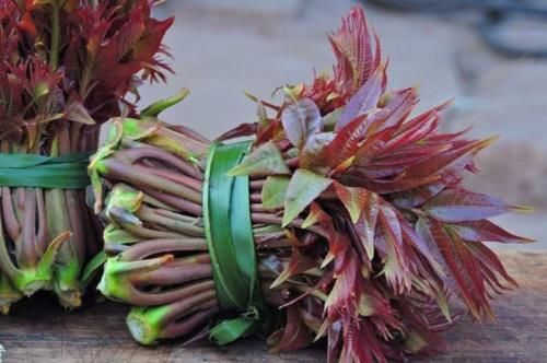 医生常说的发物是什么？什么人不能吃发物？看完就明白了