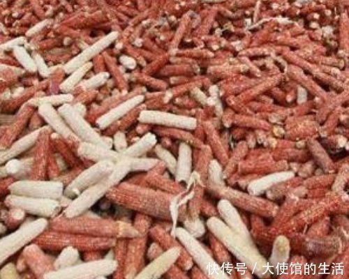 养花|养花别再买营养土,盆里掺1把“废料”,土壤疏松透气,花开不停