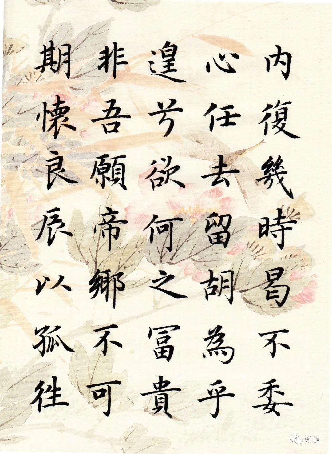 归去来兮辞&书法不可以自学,自学就等于自杀。书法培训老师都这么说