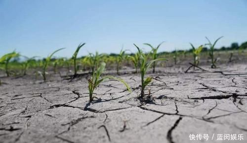 如果地球停止降雨五年,将会发生什么我们的生活又会发生什么