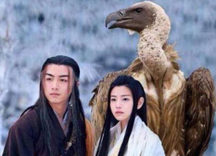 为何杨过当初要救雕而杀了蛇假如救怪蛇,他恐怕早就天下无敌