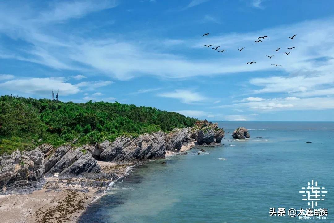 滨海|大连海岸线，发现新玩法