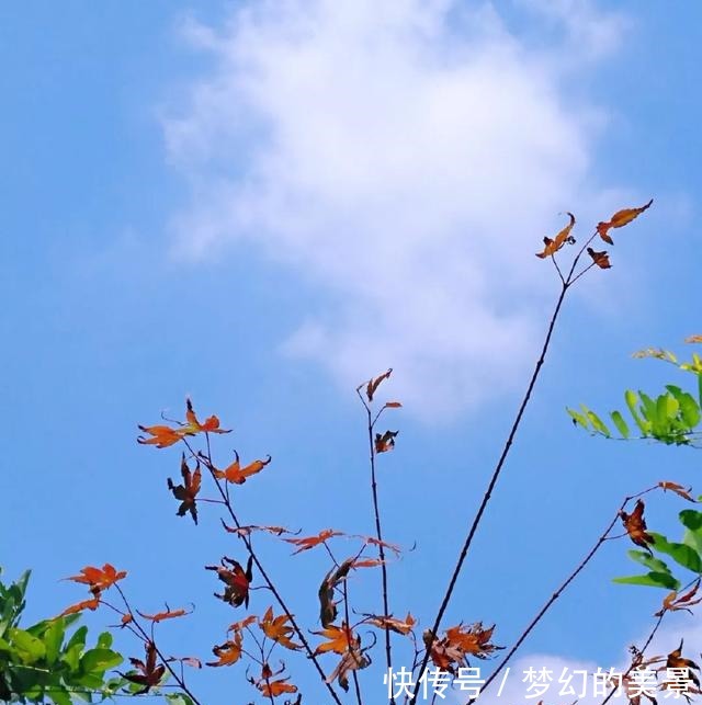 散文诗秋 ·之私语