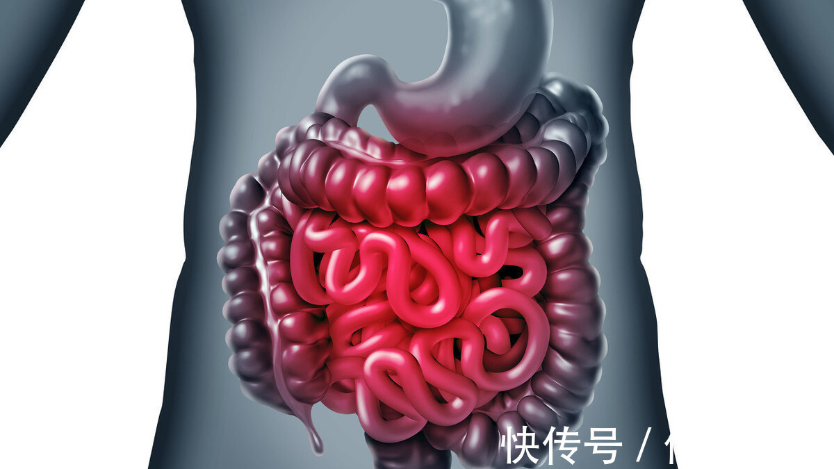 消化系统|黑芝麻营养价值高,不过3类人,尽量不要碰,以免给健康招来麻烦