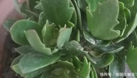 健康|还把孩子饭量大当好事请留意,当心出现这些情况