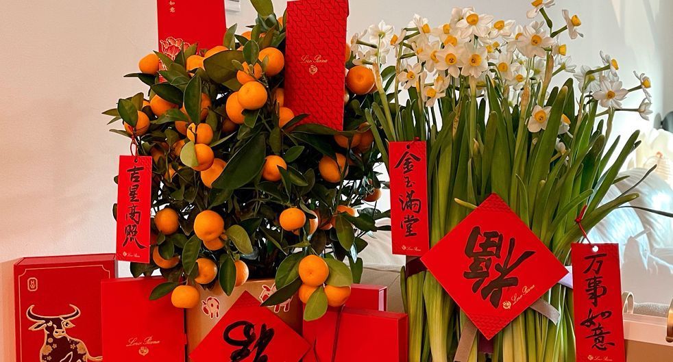 客厅养花有讲究:这3类植物再“喜欢”也别养,对家人不利