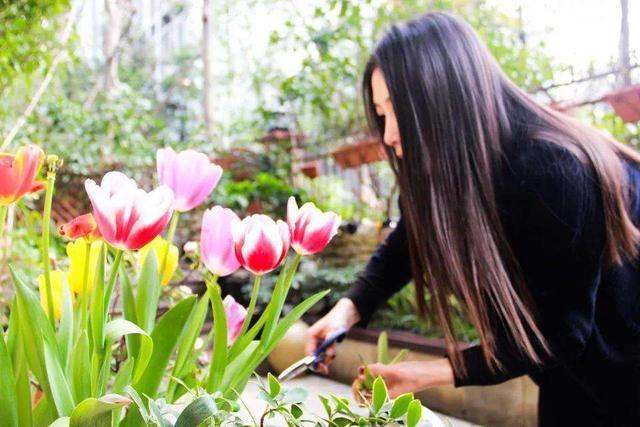 喜欢养花的朋友，几个臭毛病，出门变得贼溜溜，看你有没有