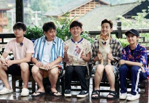 節目|本來想看王冰冰的，沒想到被節目吸了粉