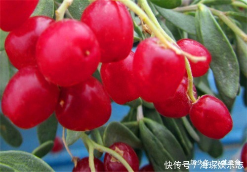 南瓜|女性养生,适合常吃4种食物,润肠通便,排毒抗衰,增强体质