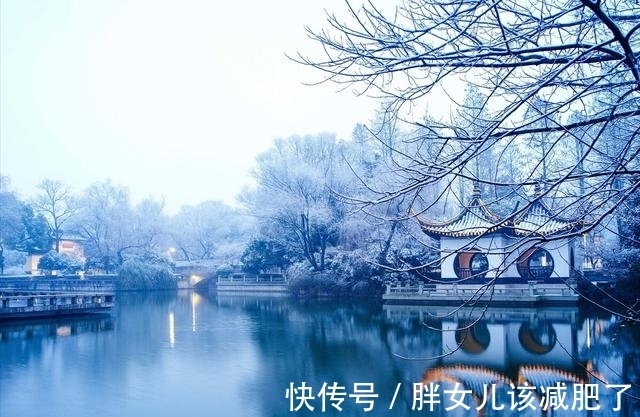 千般苦!岁月把酒与君共,腊梅笑绽待春还