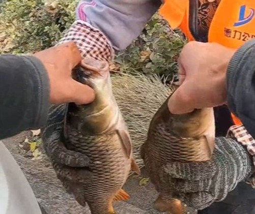 男子钓鱼后,将鱼转赠给一位环卫工人:钓鱼为“娱”不为鱼